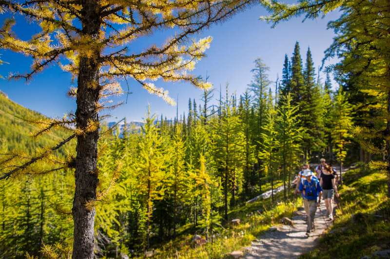 Banff National Park: Guided Signature Hikes with Lunch - Key points at a glance