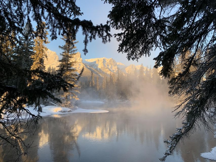 Banff PRIVATE Guided Nature Walk + Transportation - 2.5H - Timing, cancellation, and practical planning