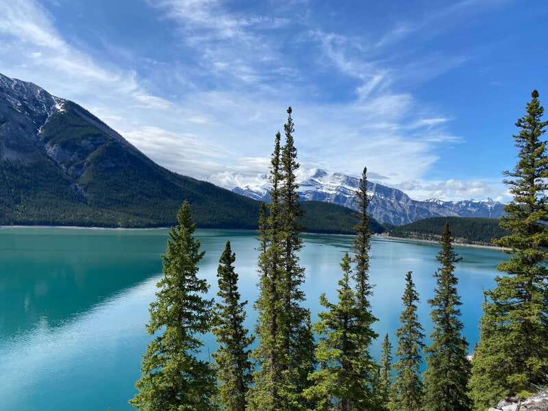 Banff PRIVATE Guided Nature Walk + Transportation - 2.5H - What the $292 group price really buys