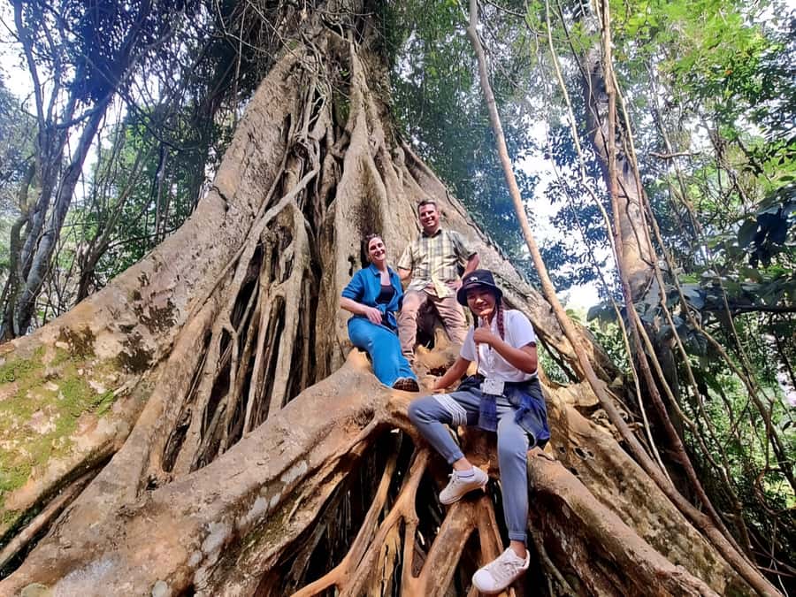 Bangkok: Khao Yai Nature Trails & Heaw Suwat Waterfall - Key points to know before booking