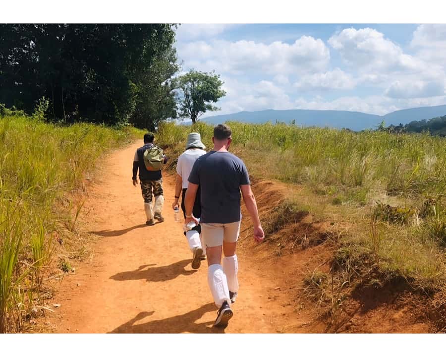 Bangkok: Khao Yai Nature Trails & Heaw Suwat Waterfall - Why Khao Yai makes a worthwhile day trip from Bangkok