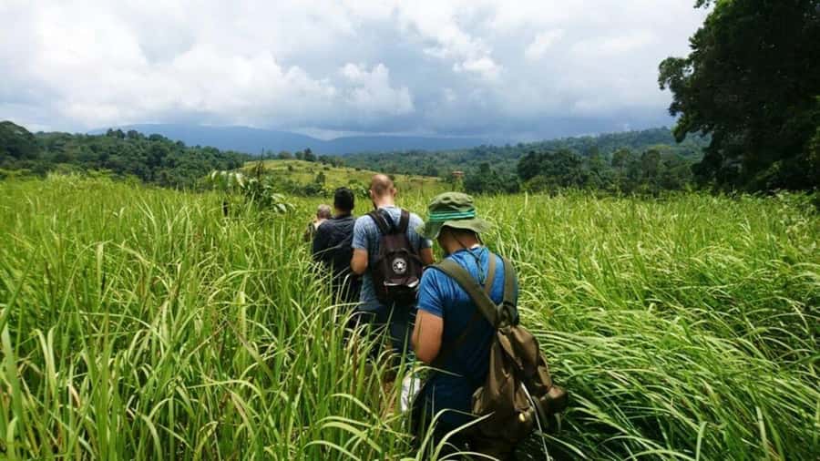 Bangkok: Khao Yai Nature Trails & Heaw Suwat Waterfall - KM 30 Viewpoint: a quick but useful first stop