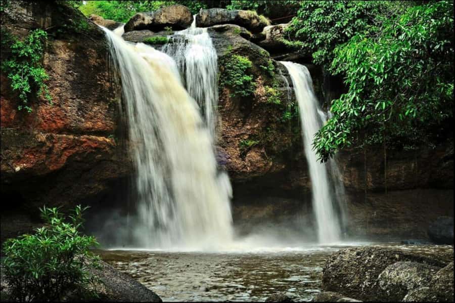 Bangkok: Khao Yai Nature Trails & Heaw Suwat Waterfall - What the $80 price really covers