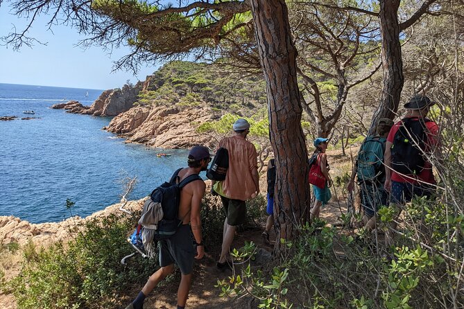 Barcelona: Costa Brava Easy Hike, Snorkel, Cliff-Jump & Meal - Walking the Camí de Ronda above the coves