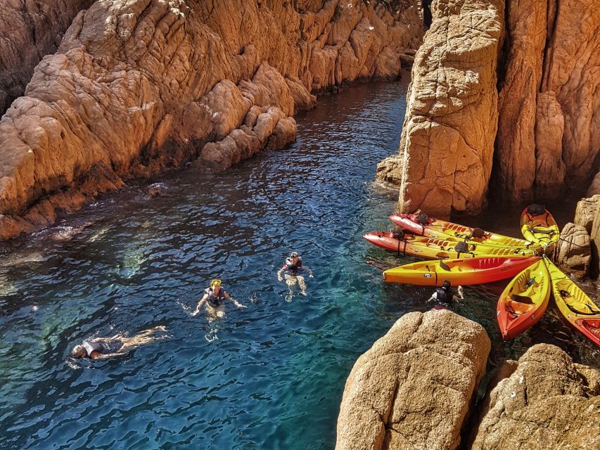 Barcelona: Costa Brava Hiking, Sea Kayaking & Lagoon Dipping - Paddling past coves and sandstone cliffs