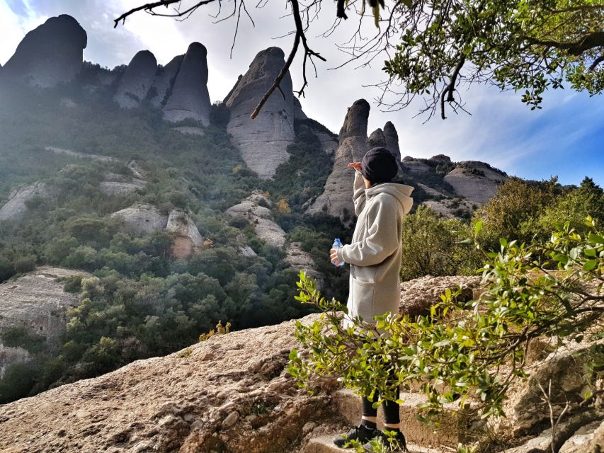 Barcelona: Montserrat Hiking Experience and Monastery Visit - Plants, wildlife, and the rock formations