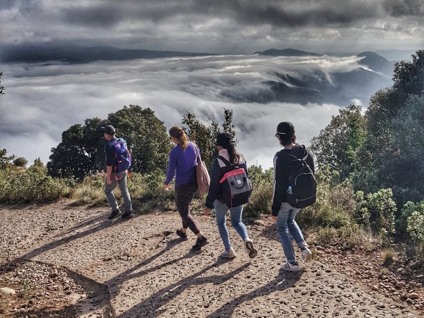Barcelona: Montserrat Hiking Experience and Monastery Visit - Cheese, honey, and the farmer’s market