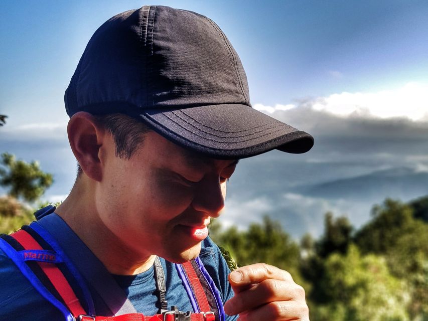 Barcelona: Montserrat Hiking Experience and Monastery Visit - Price, inclusions, and the real value