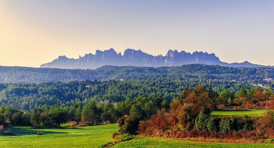 Barcelona: Montserrat Monastery & Hiking Off the Beaten Path - Key points to know before booking