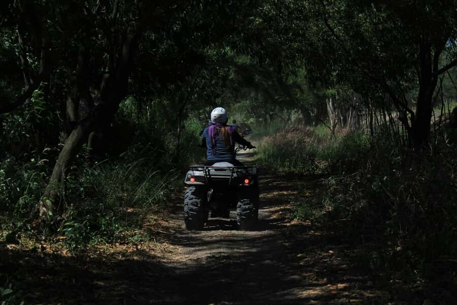 Batumi: Extreme Escape – ATV, Buggy, Horses & Hike - Horse riding and zip lining for a different pace