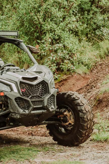 Batumi: Extreme Escape – ATV, Buggy, Horses & Hike - A family BBQ and Georgian chacha