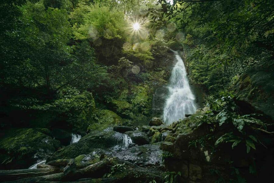 Batumi: Extreme Escape – ATV, Buggy, Horses & Hike - Mtirala National Park on four wheels