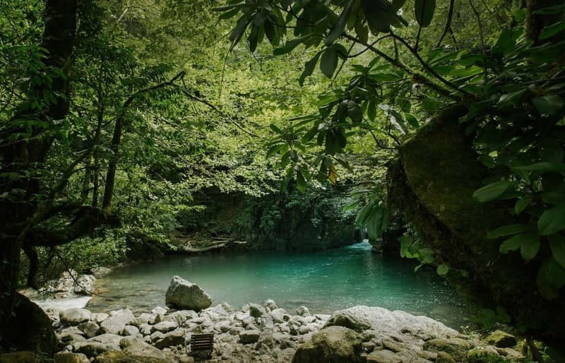 Batumi to Mtirala National park - Half day hiking group tour - Mtirala in half a day: the quick verdict