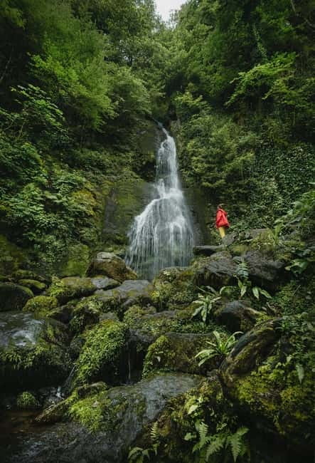 Batumi to Mtirala National park - Half day hiking group tour - Leaving Batumi at 14:00