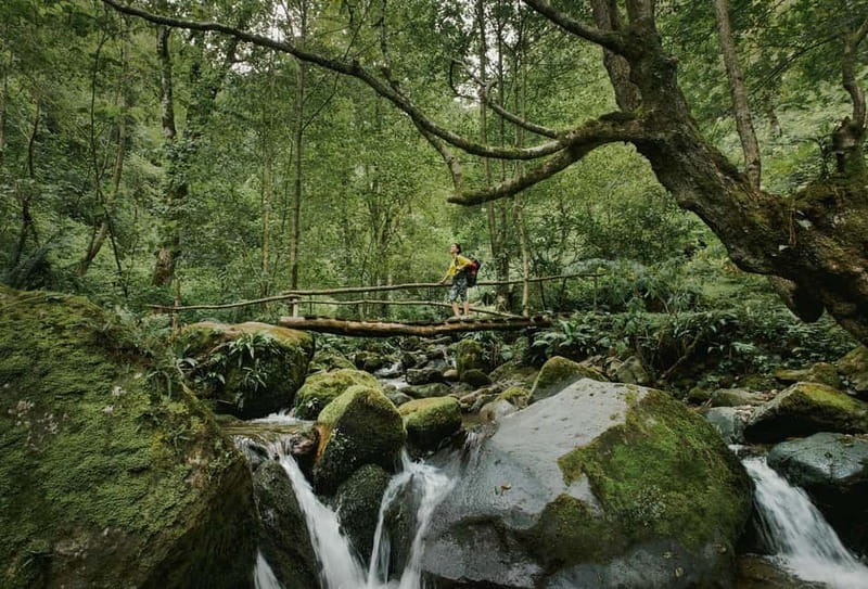 Batumi to Mtirala National park - Half day hiking group tour - A steep 3-kilometer walk to the waterfalls