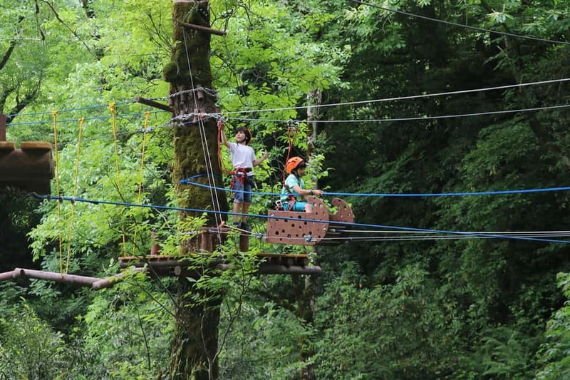 Batumi to Mtirala National park - Half day hiking group tour - What the guides add to the afternoon