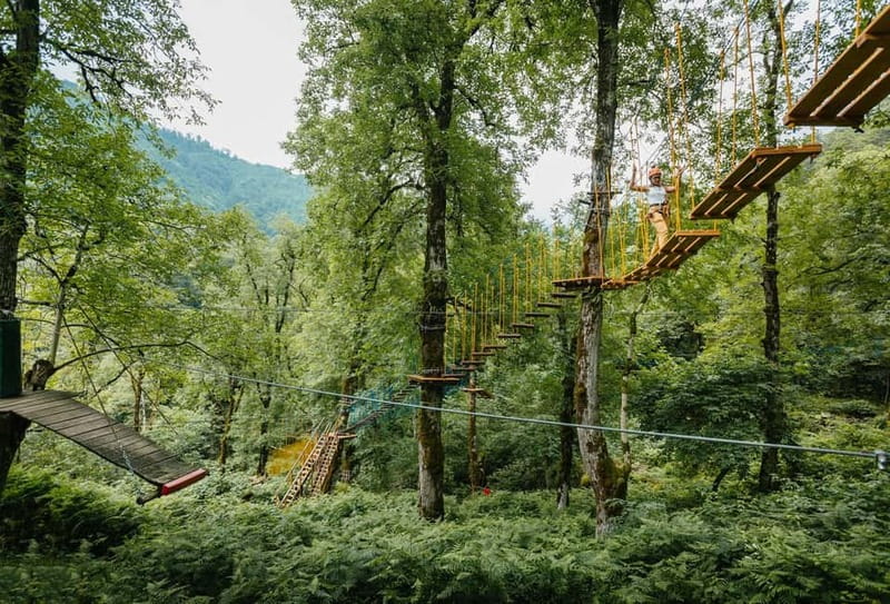 Batumi to Mtirala National park - Half day hiking group tour - Is $33 good value?