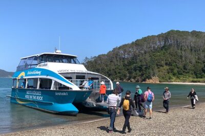 Bay of Islands Cruise & Island Tour – Snorkel, Hike,Swim,Wildlife