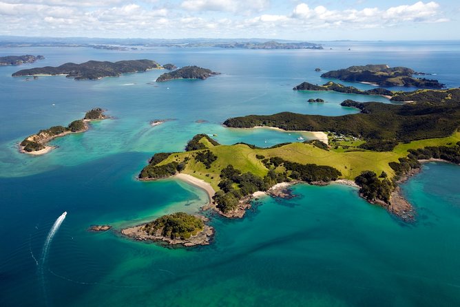 Bay of Islands Cruise & Island Tour - Snorkel, Hike,Swim,Wildlife - Wildlife and local stories add real value