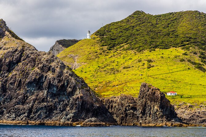 Bay of Islands Cruise & Island Tour - Snorkel, Hike,Swim,Wildlife - Who will enjoy this boat trip most?