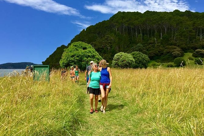 Bay of Islands Cruise & Island Tour - Snorkel, Hike,Swim,Wildlife - Practical details that affect your day