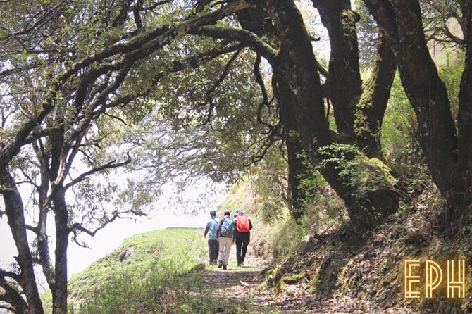 Benog Tibba Day Hike - Mussoorie - The walk to Jwala Devi Temple