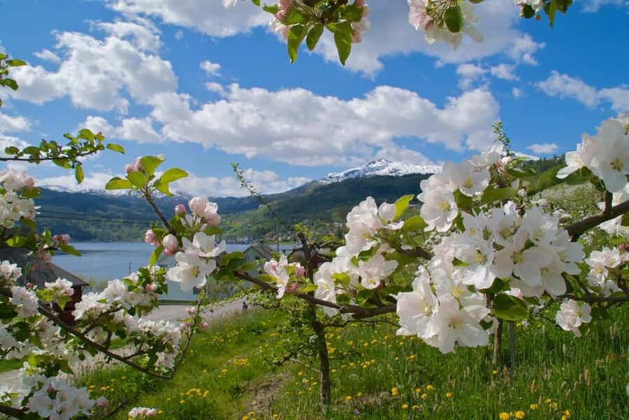 Bergen: Easy Hike to Bondhus Glacier Lake & Rosendal Visit - Crossing the Hardangerfjord by ferry