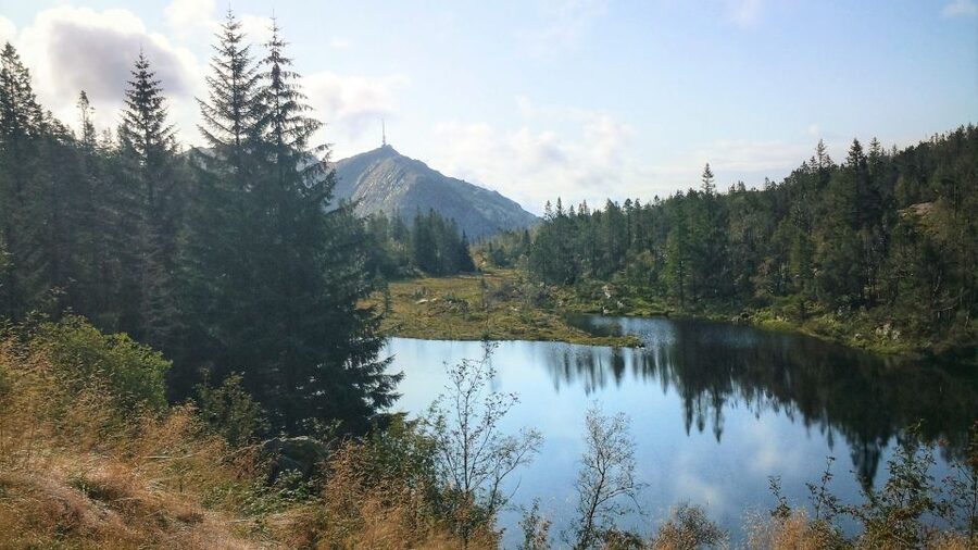Bergen: Guided mountain hike on top of Bergen - The first trails reveal a quieter side of Mt. Fløyen