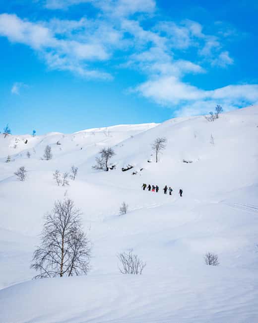 Bergen: Snowshoe Hike - Key points to know before you book