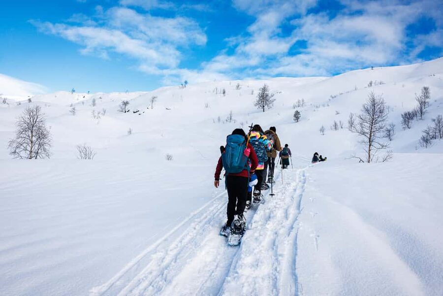 Bergen: Snowshoe Hike - From Bergen harbor to the snowy mountains