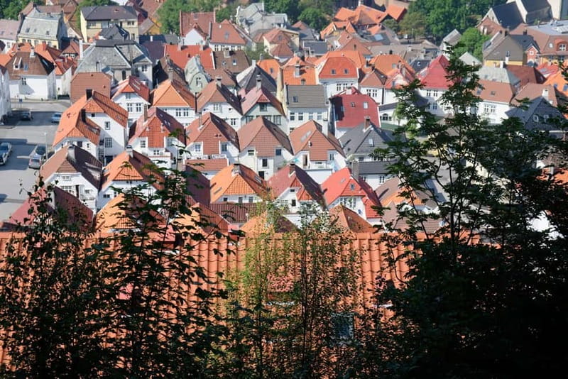 Bergen: Urban Mountain Hiking and History Tour - From Hanseatic warehouses to a local mountain trail