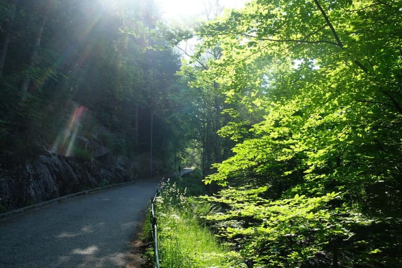 Bergen: Urban Mountain Hiking and History Tour - Sandviken, where the city meets its fishing past