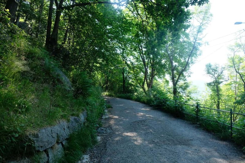 Bergen: Urban Mountain Hiking and History Tour - What the $75 price buys you
