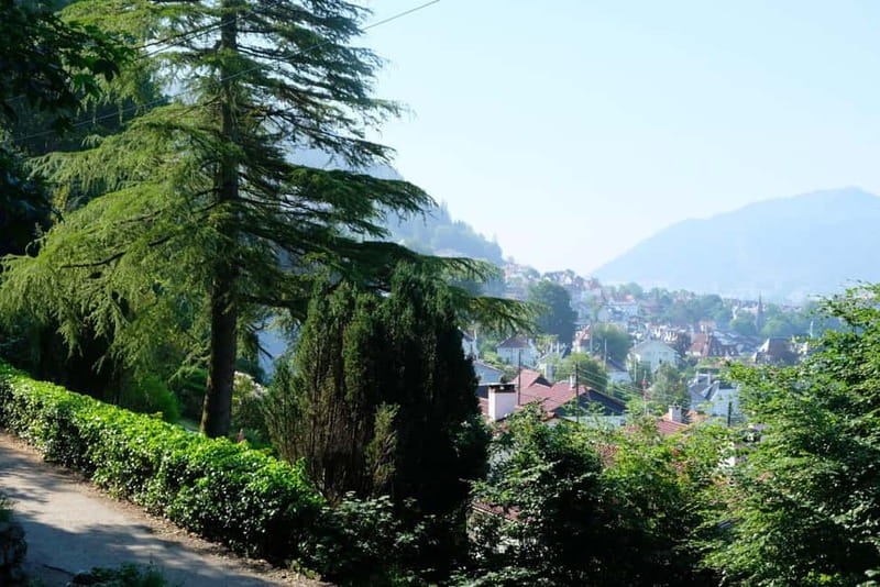 Bergen: Urban Mountain Hiking and History Tour - Who should take this tour