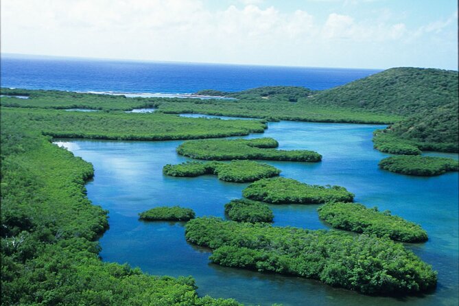 Best of Mangrove Lagoon Kayak, Hike and Snorkel Adventure with Picnic Lunch - Is $159 a fair price?