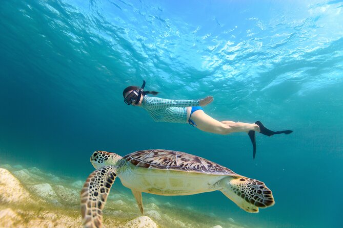 Best of Mangrove Lagoon Kayak, Hike and Snorkel Adventure with Picnic Lunch - Paddling the narrow mangrove channels