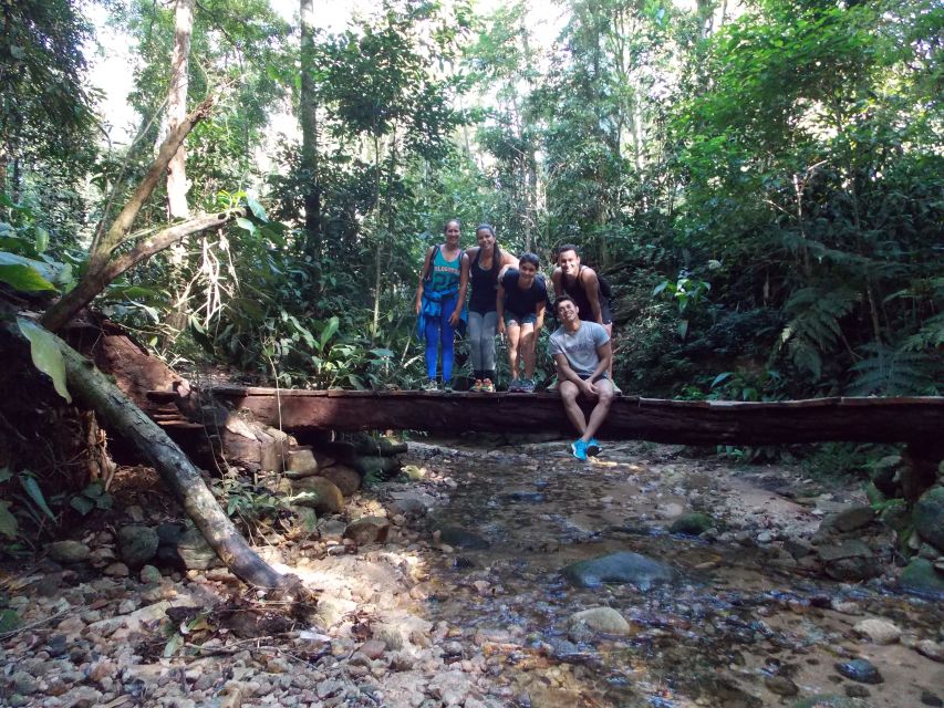 Bico do Papagaio Guided Hiking Tour in the Tijuca Forest - Cooling off at Cachoeira das Almas