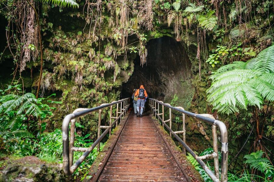 Big Island: Hawai'i Volcanoes National Park Guided Hike - Six and a half hours inside Hawaii Volcanoes National Park