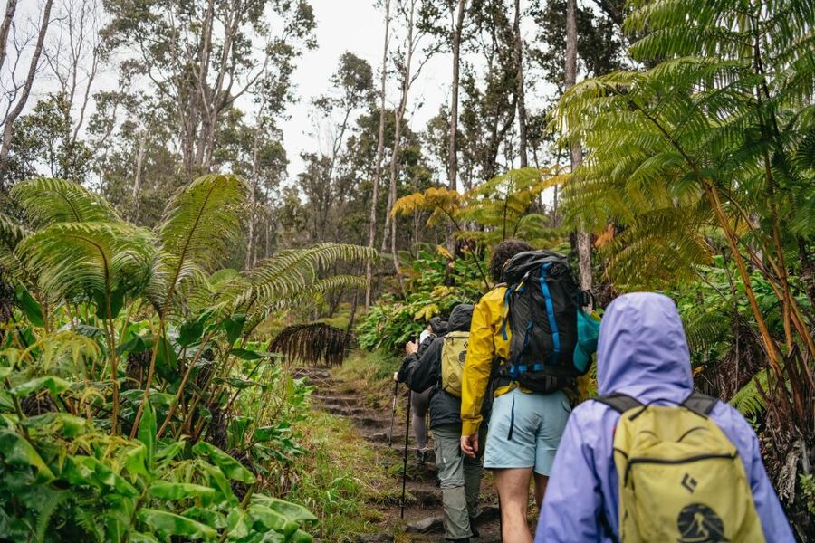 Big Island: Hawai'i Volcanoes National Park Guided Hike - Starting among native Hawaiian forest