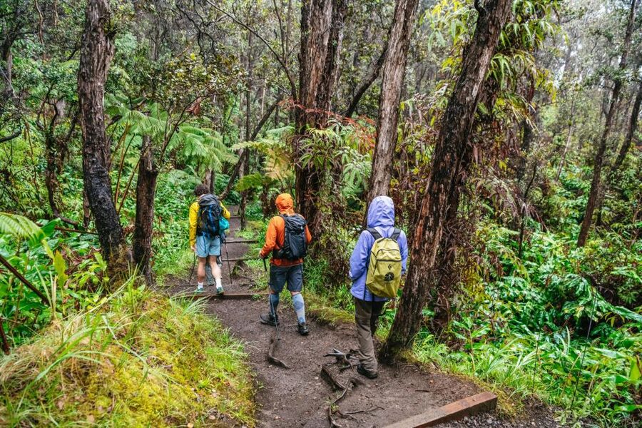 Big Island: Hawai'i Volcanoes National Park Guided Hike - Guide quality and group size