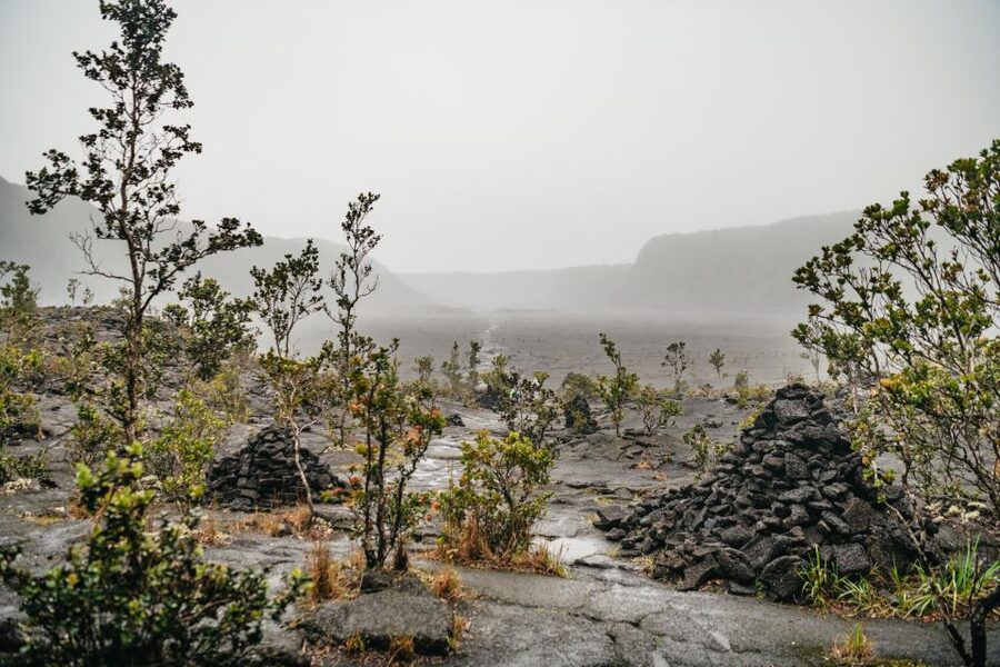 Big Island: Hawai'i Volcanoes National Park Guided Hike - Should you book the Hawaii Volcanoes hike?