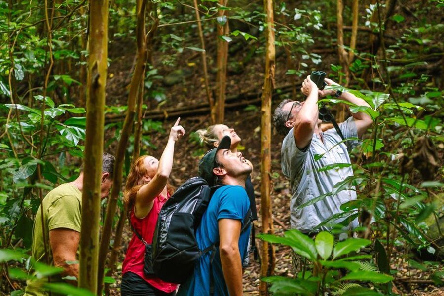 Big Island: Native Bird Watching & Hiking Tour - Why Hakalau Forest is the main event
