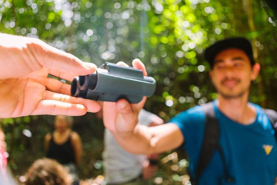 Big Island: Native Bird Watching & Hiking Tour - Five hours among native birds and plants