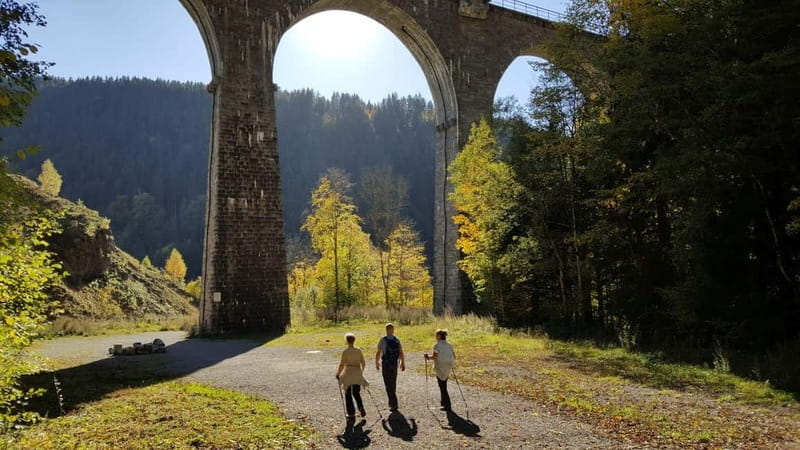 Black Forest: Ravenna Gorge Hike, Self-Guided - Why Ravenna Gorge is worth leaving Freiburg for