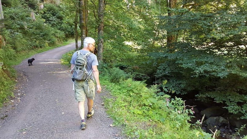 Black Forest: Ravenna Gorge Hike, Self-Guided - Starting at Hinterzarten station