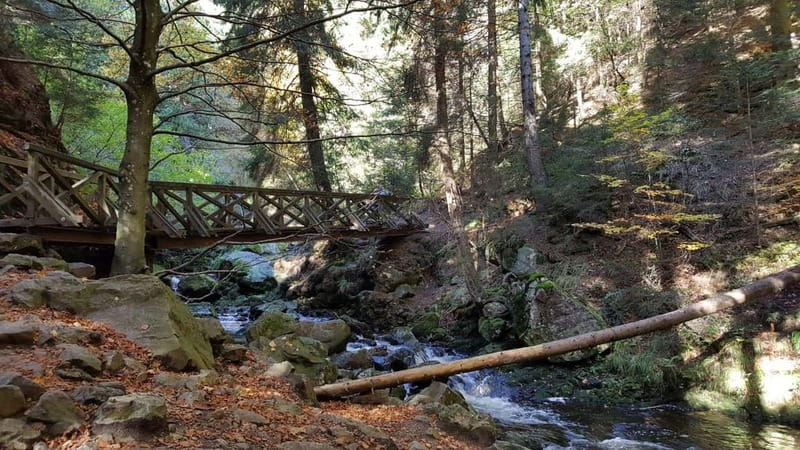 Black Forest: Ravenna Gorge Hike, Self-Guided - Waterfalls, old mills, and the working Black Forest