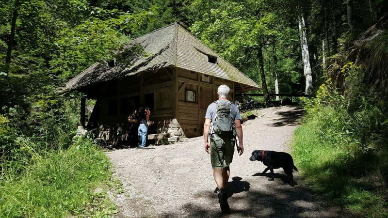 Black Forest: Ravenna Gorge Hike, Self-Guided - How the app performs in real use