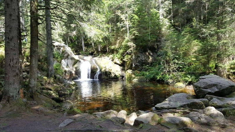 Black Forest: Ravenna Gorge Hike, Self-Guided - Who will get the most from this hike