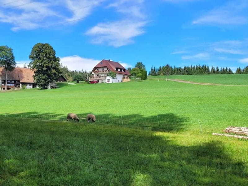 Black Forest: Ravenna Gorge Hike, Self-Guided - Following the 8-kilometer route into the gorge