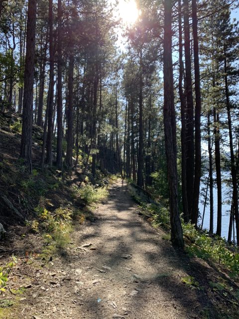 Black Hills: Private Tour of Mt. Rushmore & Flume Trail Hike - Key points to know before booking